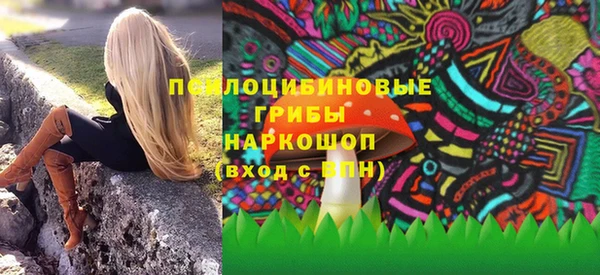 соль ск Горняк