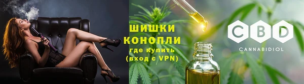 соль ск Горнозаводск