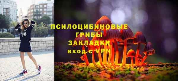 соль ск Горняк